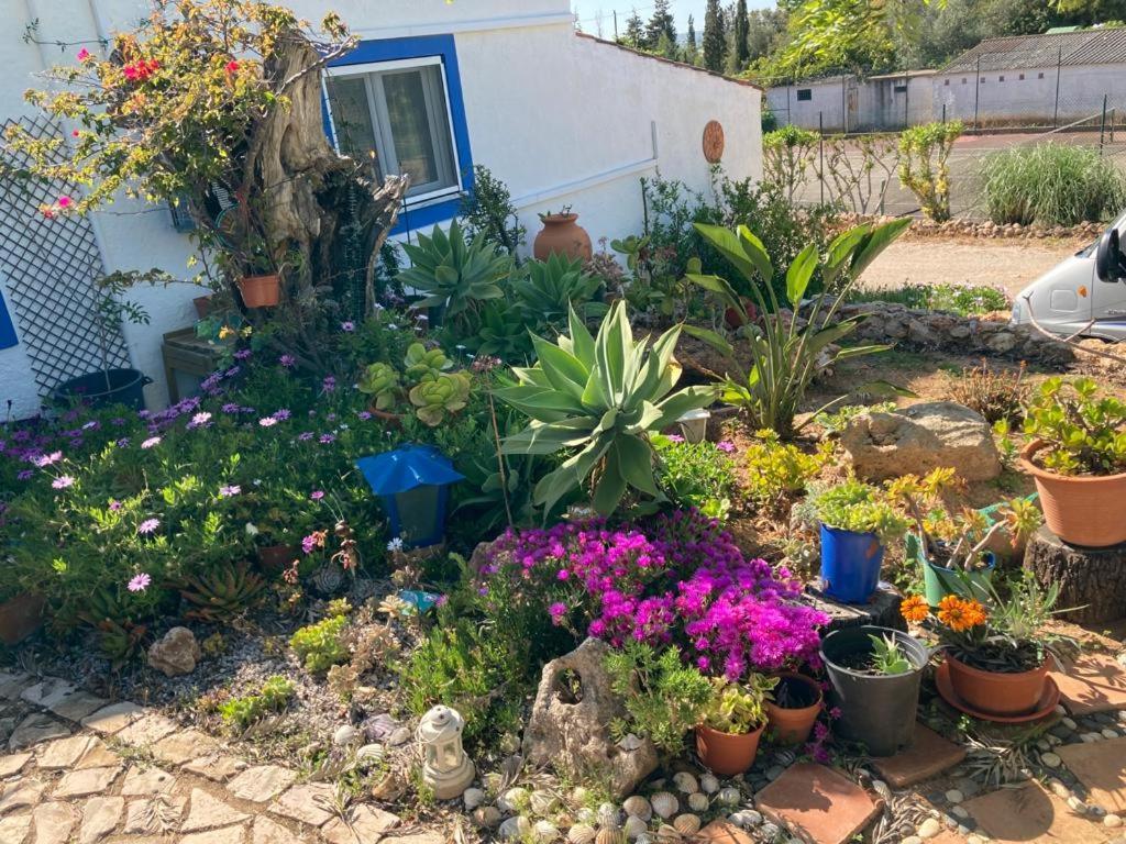 Casa Aleg Villa Albufeira Exteriör bild
